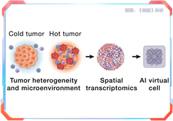 AI虚拟细胞开启生物研究新范式